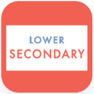 lower secondary no margin